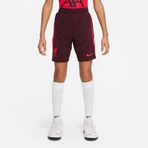 Nike Liverpool Trainingsshorts Dri-FIT Strike - Bordeaux/Donkerrood Kinderen