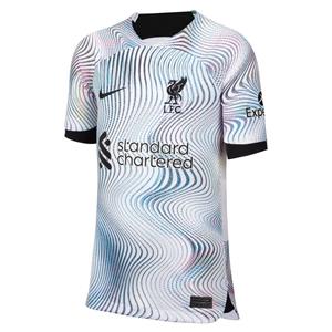 Nike Liverpool Uitshirt 2022/23 Kinderen