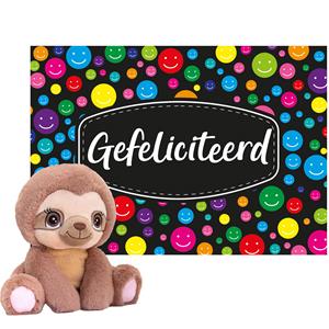 Keel Toys Cadeaukaart Gefeliciteerd met knuffeldier luiaard 16 cm -