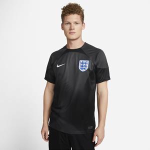 Nike Engeland 2022/23 Stadium Goalkeeper  Dri-FIT voetbalshirt met korte mouwen voor heren - Grijs