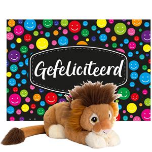 Keel Toys Cadeaukaart Gefeliciteerd met knuffeldier leeuw 25 cm -