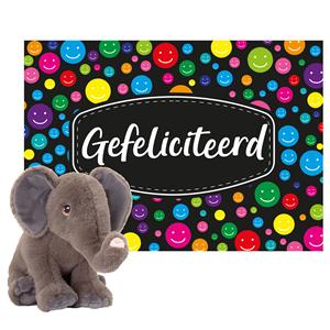 Keel Toys Cadeaukaart Gefeliciteerd met knuffeldier olifant 25 cm -