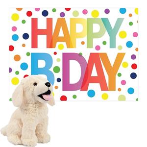 Pia Pluche dieren knuffel labrador hond 20 cm met Happy Birthday wenskaart -
