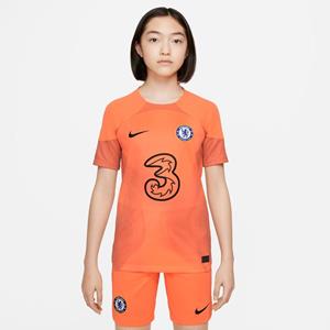 Nike Chelsea Keepersshirt Thuis 2022/23 Kinderen