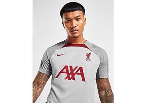 Nike Liverpool FC Strike T-Shirt - Wolf Grey/Smoke Grey/Tough Red- Heren