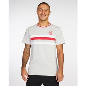 Liverpool FC Liverpool T-shirt Stripe 89 - Grijs/Rood