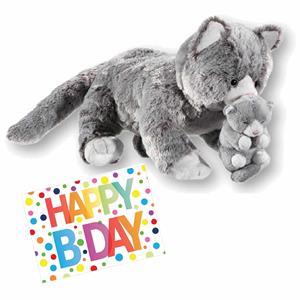 Nature Planet Pluche knuffel kat/poes grijs 32 cm met A5-size Happy Birthday wenskaart -