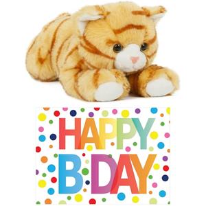 Cadeau setje pluche rood/witte kat/poes knuffel 25 cm met Happy Birthday wenskaart -