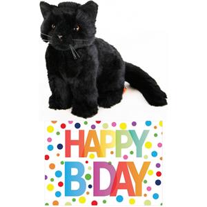 Merkloos Cadeau setje pluche zwarte kat/poes knuffel 20 cm met Happy Birthday wenskaart -
