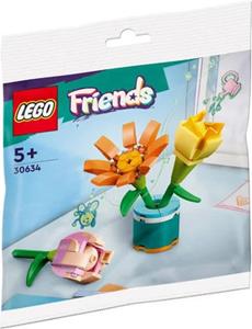 Lego 30634  Friends Friendship Flowers