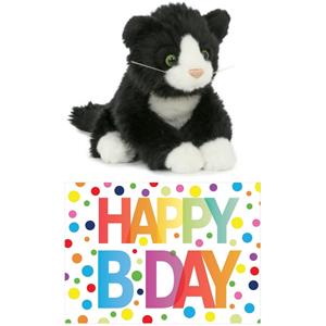 Cadeau setje pluche zwart/witte kat/poes knuffel 18 cm met Happy Birthday wenskaart -