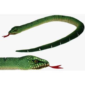 Cornelissen Pluche knuffel dieren groene boom python slang van 150 cm -
