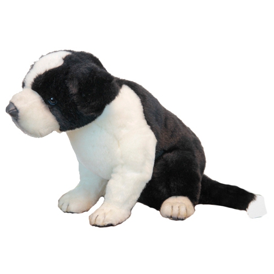 Hansa pluche Border Collie pup knuffel 25 cm -