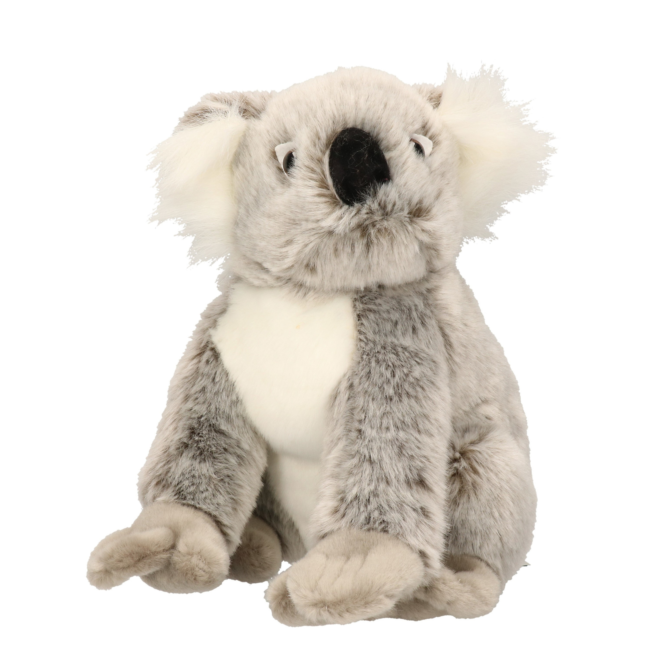 Nature Planet Pluche knuffel koala 25 cm -