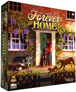 DSV Games Forever Home - Bordspel (NL)