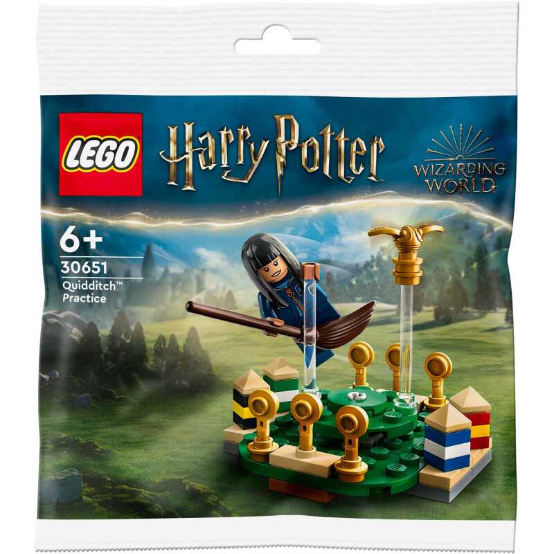 LEGO Harry Potter - Zwerkbal training Constructiespeelgoed