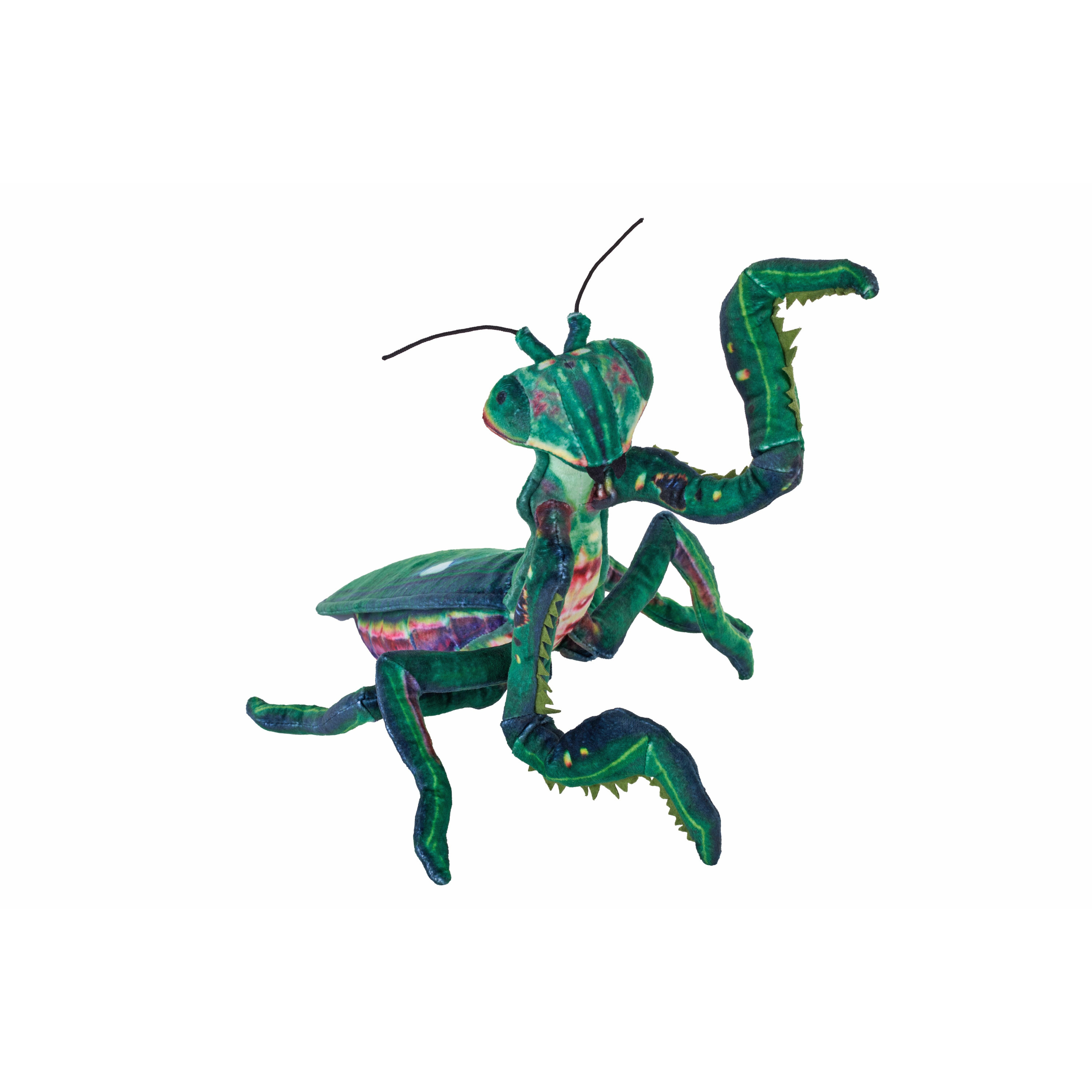 Wild Republic Bidsprinkhaan knuffel - groen - 50 cm - pluche - sprinkhaan - insecten -