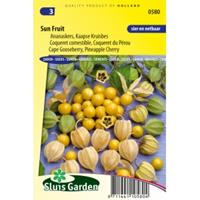 Sluis Garden Ananaskers zaden - Sun Fruit