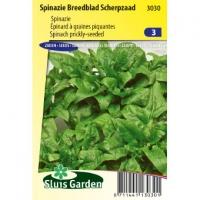 Spinazie (breedblad) zaden