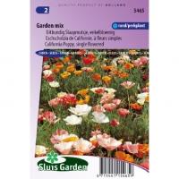 Uitbundig Slaapmutsje enkelbloemig bloemzaden - garden Mix