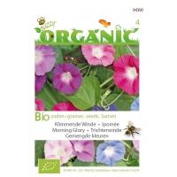 Organic Ipomoea purpurea mix (Skal 14275)