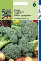 Hortitops Broccoli Marathon V H Premium Crop F1