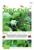 Buzzy Organic Mesclun Aziatisch (Skal 14725) Tuinplus
