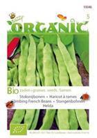 Buzzy Stoksnijbonen Phaseolus vulgaris Helda - Groentezaden - 15Â gram