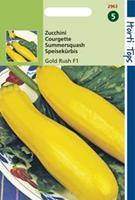 Hortitops HT Courgette Gold Rush F1