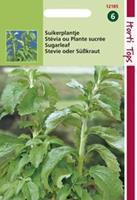 Hortitops Stevia steviaÂ rebaudiana Suikerplantje - Kruidenzaden - 50