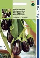 Hortitops Aubergine Solanum melongena Ophelia F1 hybride - Groentezaden - 10Â stuks