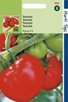 Hortitops Tomaten Solanum lycopersicum L. (syn L. esculentum) Pyros F1 - Groentezaden - 25