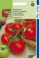 Hortitops Trostomaat Solanum lycopersicum L. (syn L. esculentum) Serrat F1 (vh Philippos ) - Groentezaden - 0,2Â gram