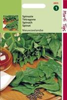 Hortitops Spinazie Spinacia oleracea Nieuwzeelandse - Groentezaden - 5Â gram