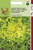 Hortitops Krulandijvie Cichorium endivia Fijne Krul Geel (Altijd Witte) - Groentezaden - 3Â gram