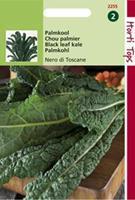 Hortitops Palmkool Brassica oleracea var. acephala Nero di Toscane - Groentezaden - 2Â gram