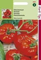 Hortitops Tomaten Marmande Vleestomaat