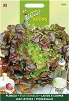 Buzzy Red Salad Bowl Rode Eikenbladsla