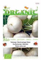Buzzy Organic Raapstelen (blad) Tuinplus