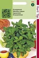 Hortitops Kruizemunt Mentha spicata - Groentezaden - 1Â g