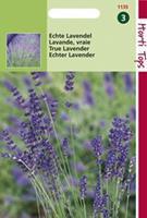 Hortitops Lavendel Lavandula Officinalis