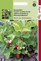 Hortitops Aardbeien Fragaria vesca Baron Van Solemacher (Rügen) - Fruitzaden - 0,25Â gram