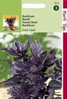 Hortitops Basilicum Ocimum basilicum purpurascens Rode - Dark Opal - Kruidenzaden - 1,5Â gram