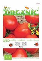 Buzzy Organic Tomaat Roma Tuinplus