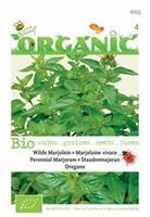 Buzzy Organic Marjolein - Oregano (Skal 14725) Tuinplus