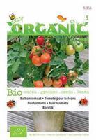 Buzzy balkontomaat Koralik Solanum lycopersicum L. (syn L. esculentum) - Groentezaden - 0,02Â gram