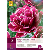 Tulp Dream Touch 5 bollen