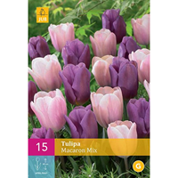 Tom-Garten Tulpen-Mischung Macaron Mix 15er Pack
