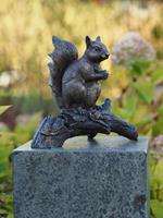 BronZartes Sundir Squirrel auf Niederlassungsgartenbild