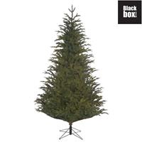 Blackbox Frasier kunstkerstboom groen d145 h215 cm